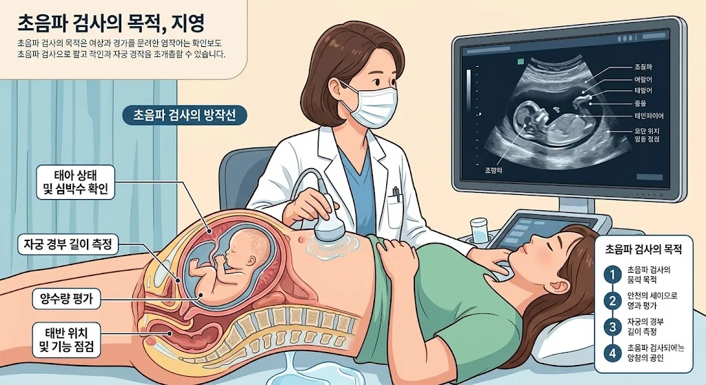 임신 준비 체크리스트 — 엽산·건강검진·생활습관,